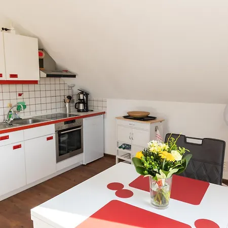 Apartment Casa La Vie - Moderne In Ruhiger Lage Nahe Frankfurt, Garten, Kueche, Wlan *