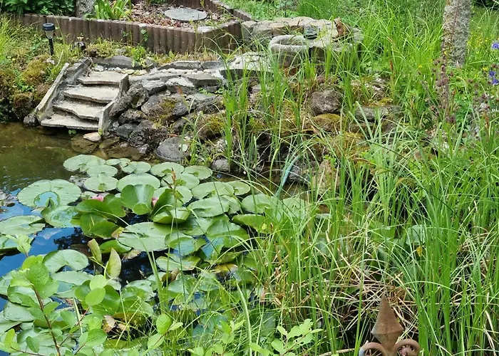 Casa La Vie - Moderne In Ruhiger Lage Nahe Frankfurt, Garten, Kueche, Wlan Apartment *